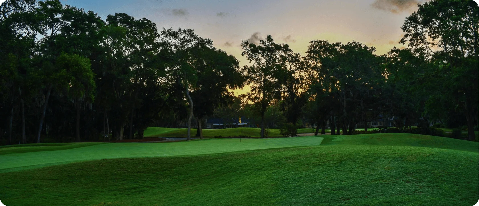 text-banner-bg
