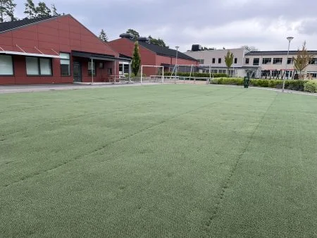 Aktivitetsplan Hybridgräs