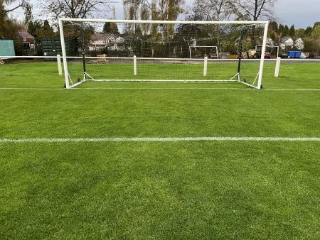 Birmingham Hybrid grass