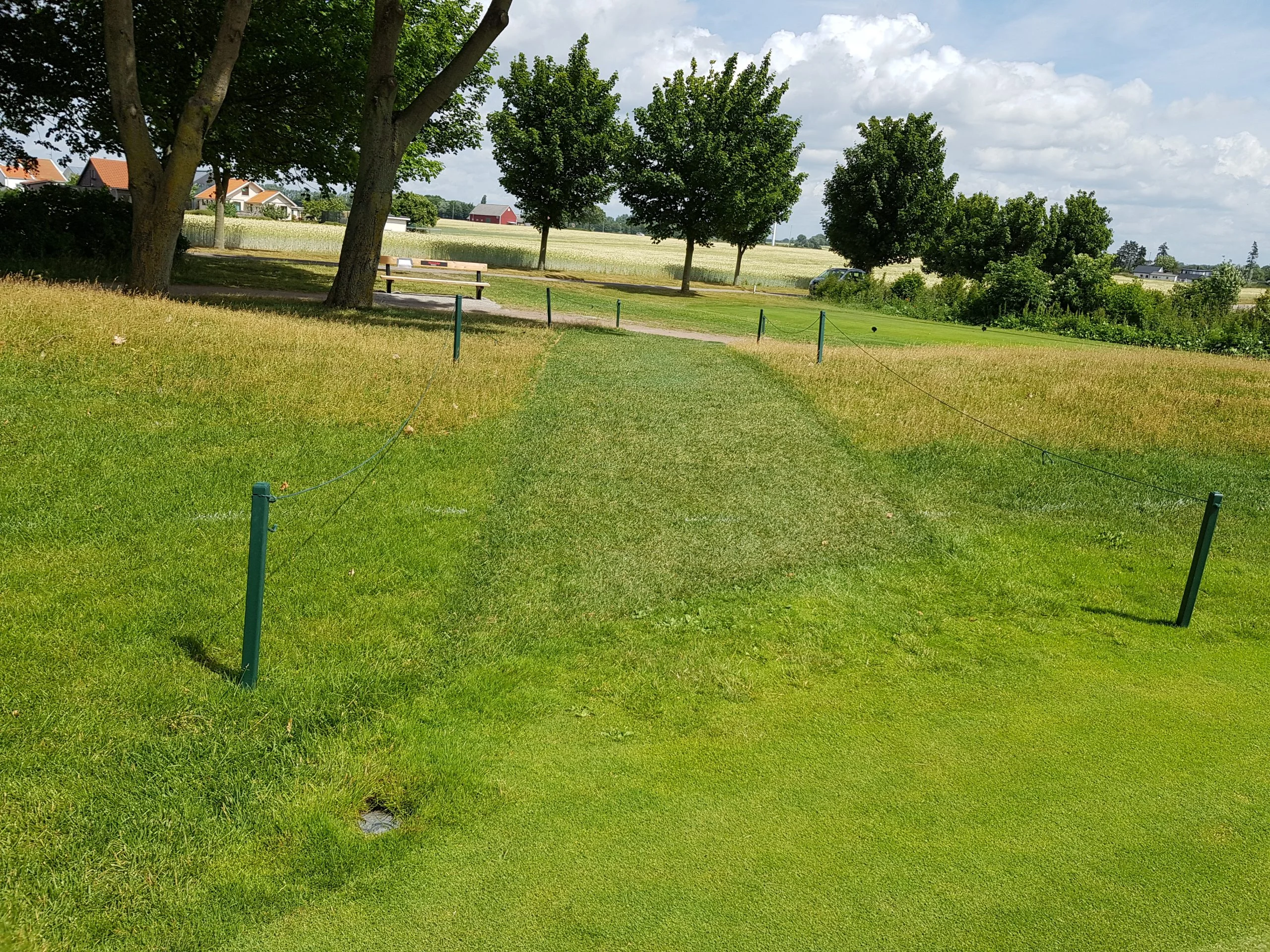 From_green_NRT2202_3