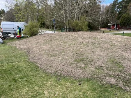 Götene före Hybridgräs