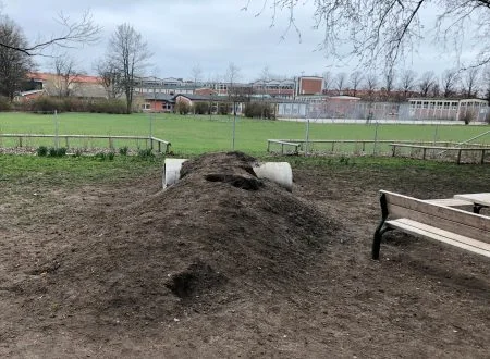 Hundrastgården före Hybridgräs