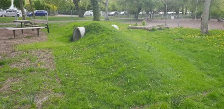 Hundrastgården med hybridgräs