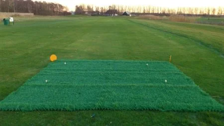 Hybridgräs Vintertee