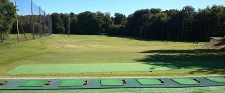 Hybridgräs för grästee