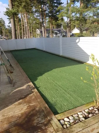 Hybridgräs i trädgården