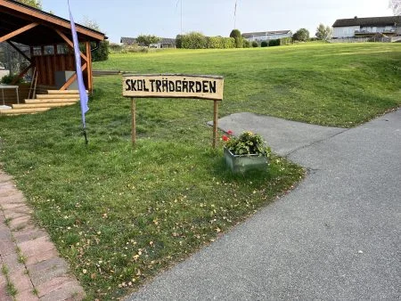 Hybridgräs integrerat