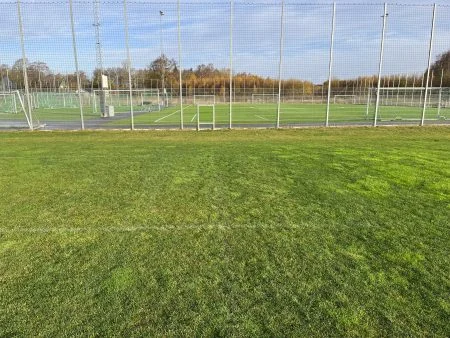 Hybridgräs integrerat Ängelholm