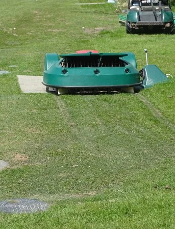 Hybridgräs vid bolplockaren