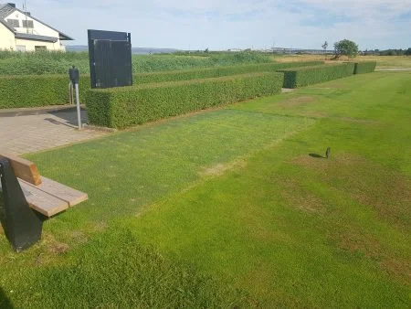 Ingång tee med Hybridgräs