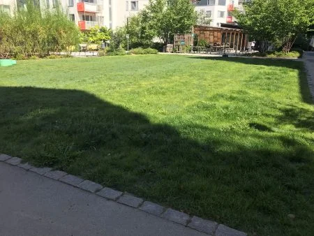 Innergård Hybridgräs efter 6 v, stockholm