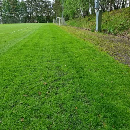 Integrerat Hybridgräs