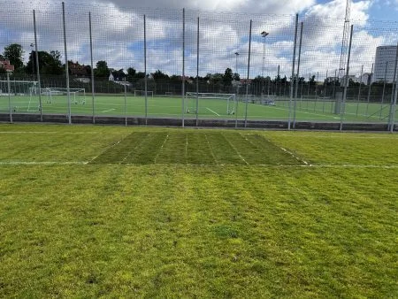 Integrerat Hybridgräs Utrullat