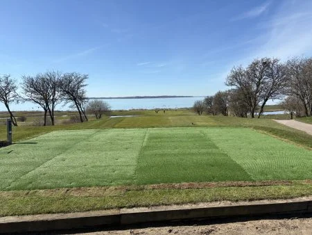 Landskrona Gk Hybridgräs