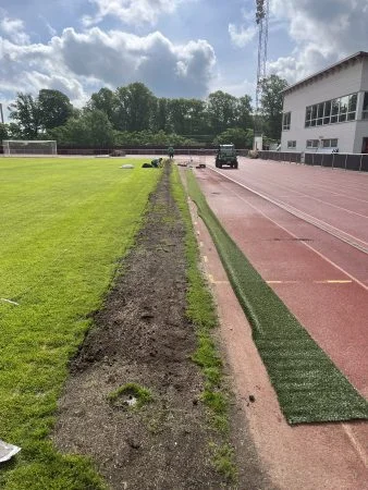 Linjedomarstråk Före hybridgräs