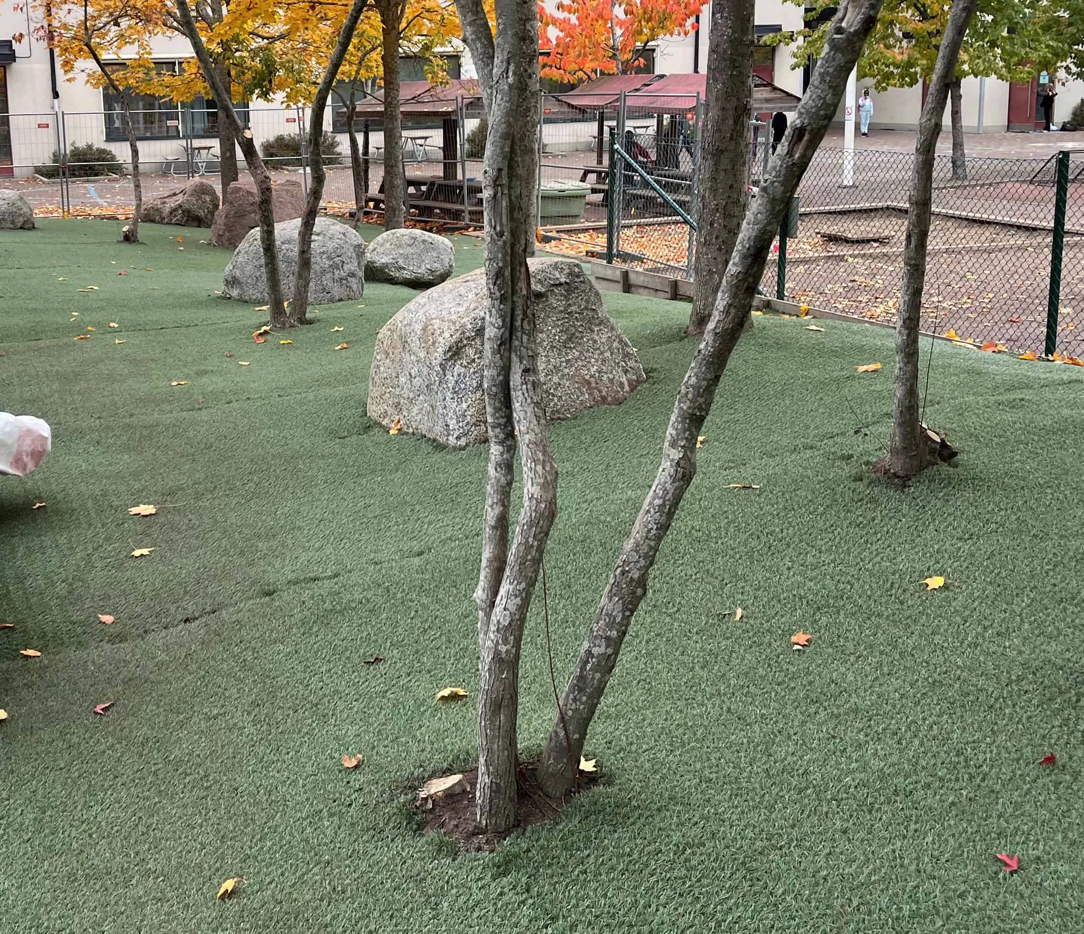 Sofielundsskolan_sollentuna2