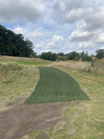 The National Gångväg Hybridgräs