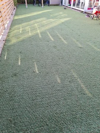 Trädgård efter Hybridgräs