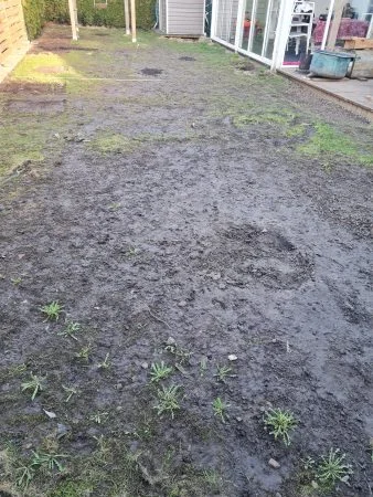 Trädgård före Hybridgräs