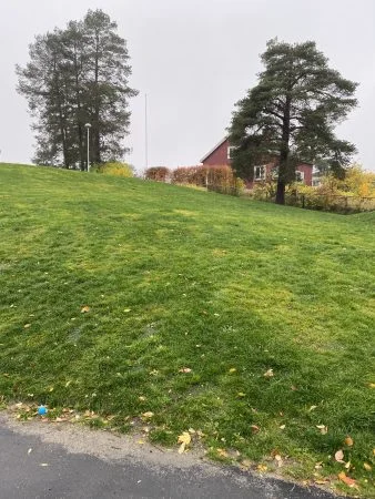 Umeå Hybridgräs Integrerat