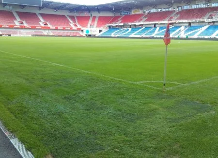 Hybridgräs på fotbollsplanen, vilken produkt ska man välja?