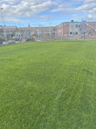 Ystad Hybridgräs integrerat