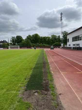 linjedomarstråk med hybridgräs