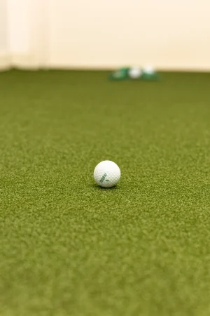 Albatross putting green inomhus
